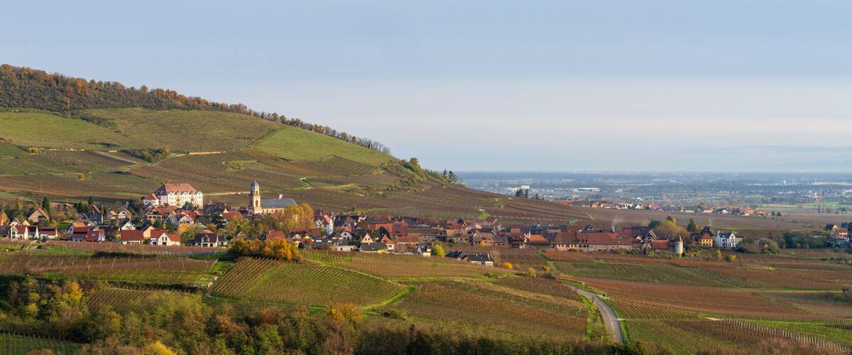 A village nestled in rolling hills with vineyards, a prominent church, and a tower.