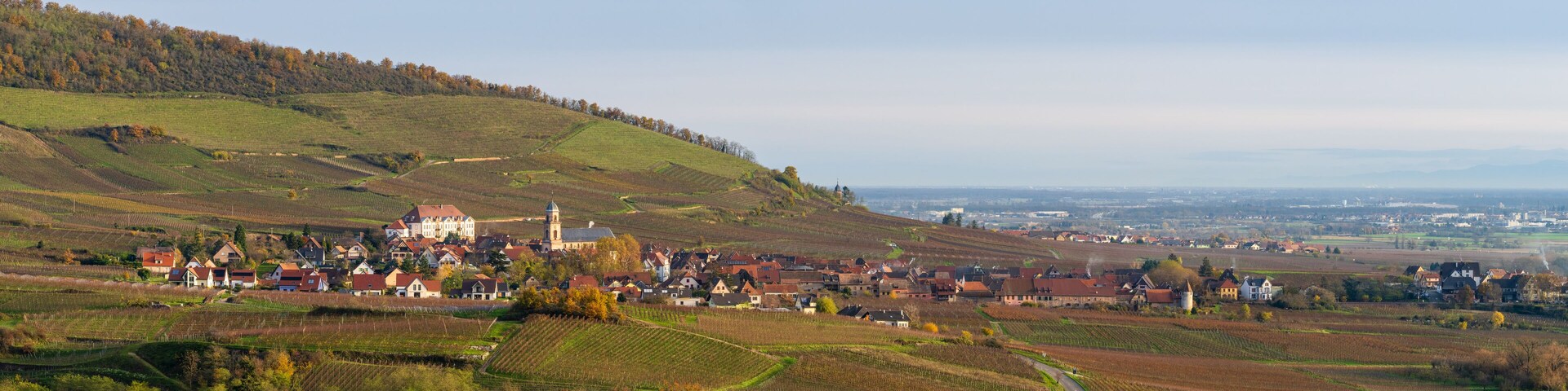 A village nestled in rolling hills with vineyards, a prominent church, and a tower.