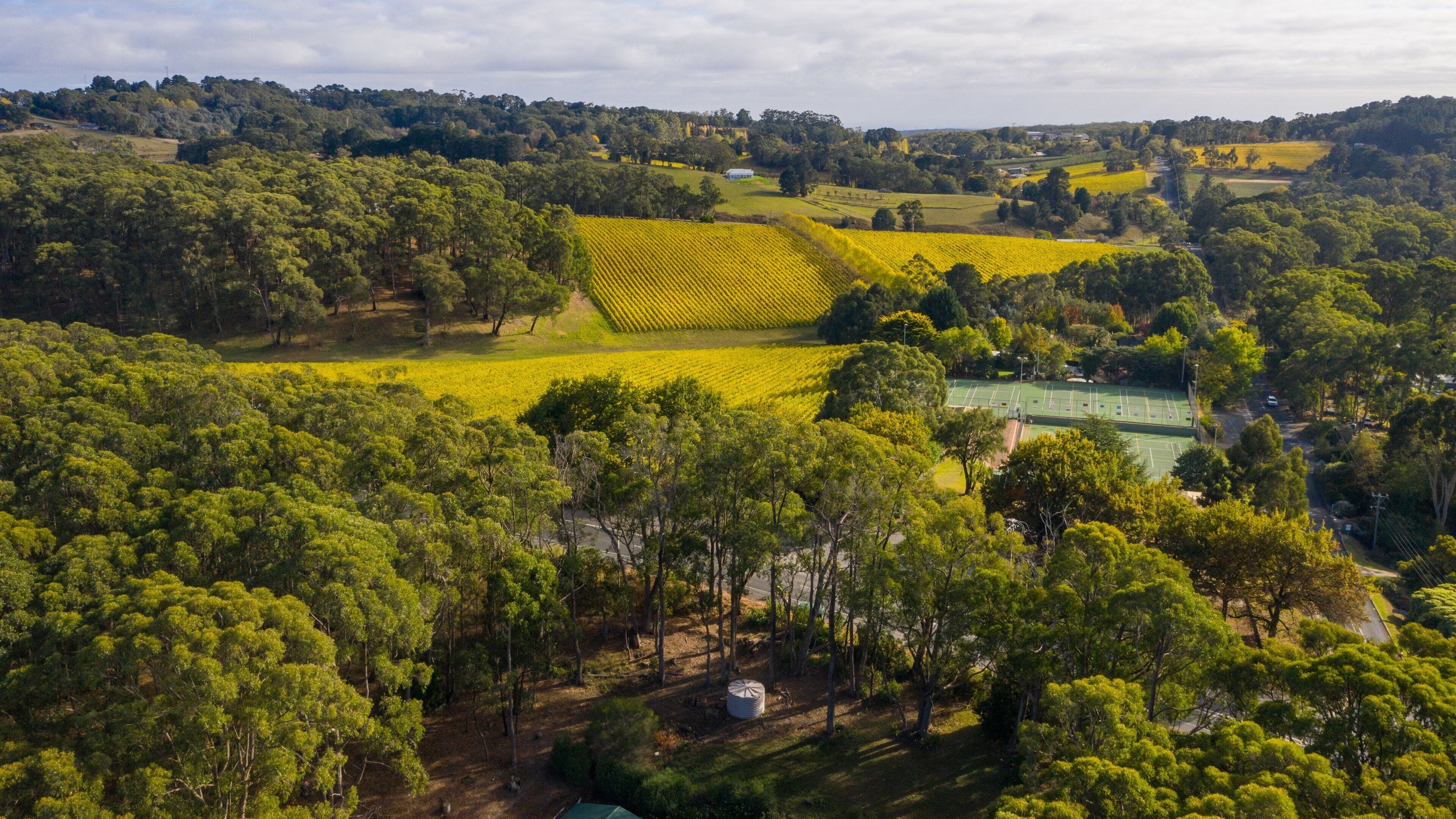 Summertown showing tranquil scenes and landscape views