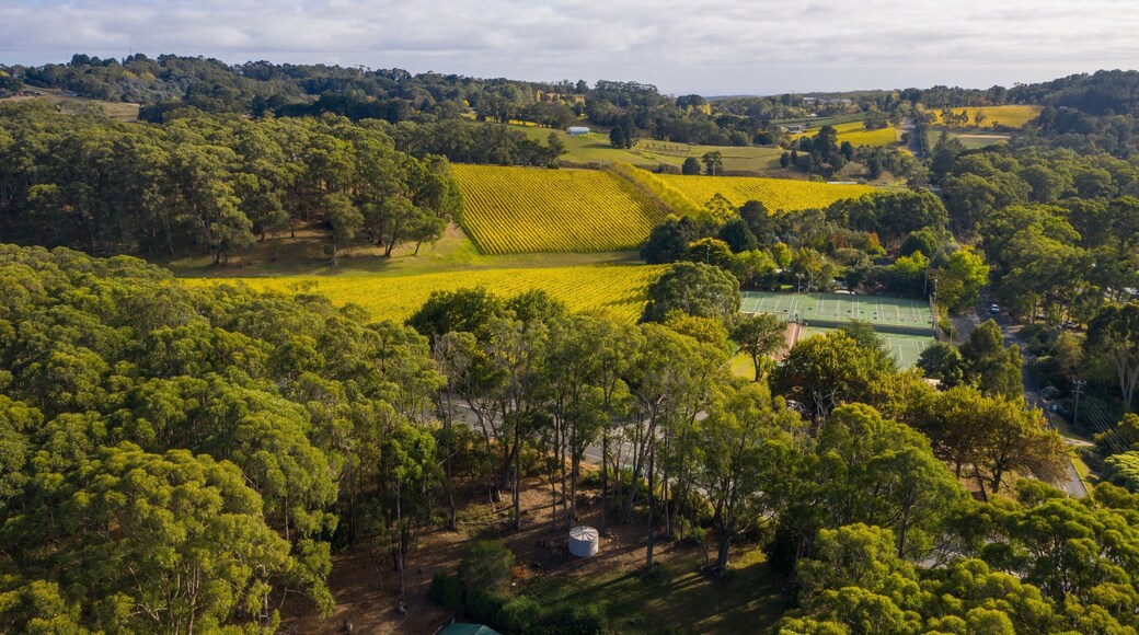 Summertown showing tranquil scenes and landscape views
