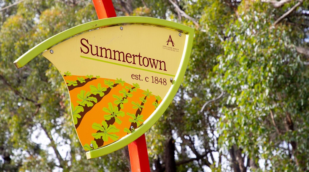 Summertown featuring signage