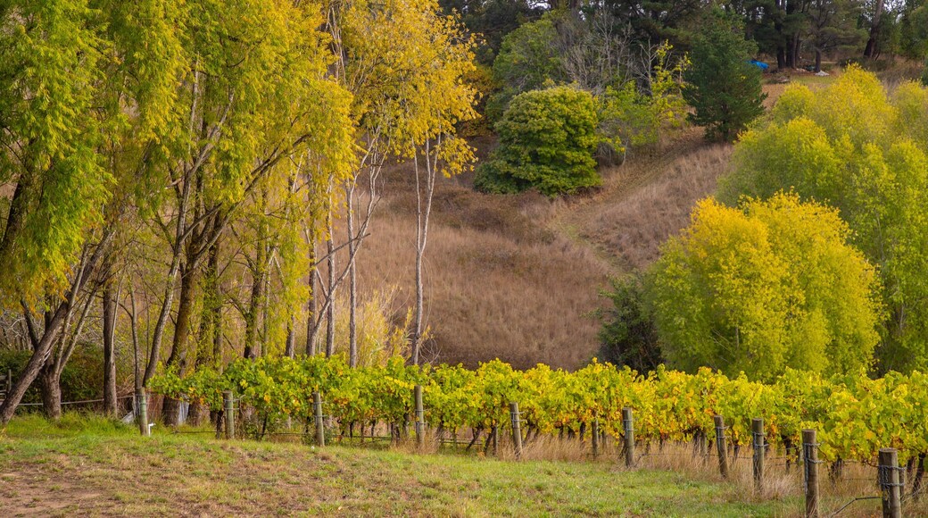 Summertown which includes farmland