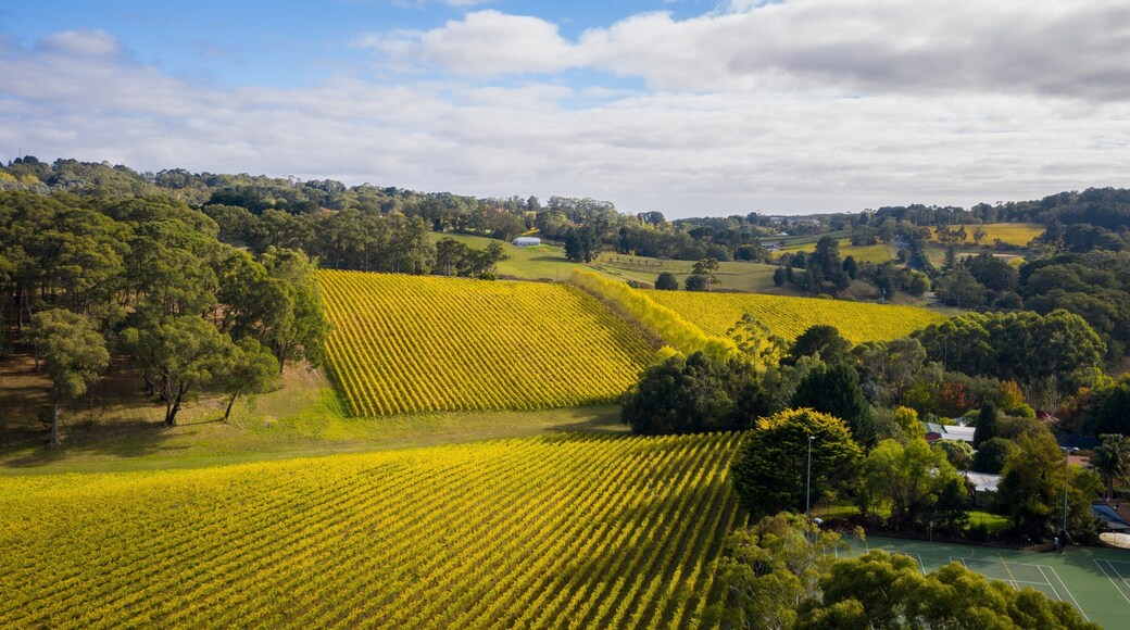 Summertown showing landscape views and farmland