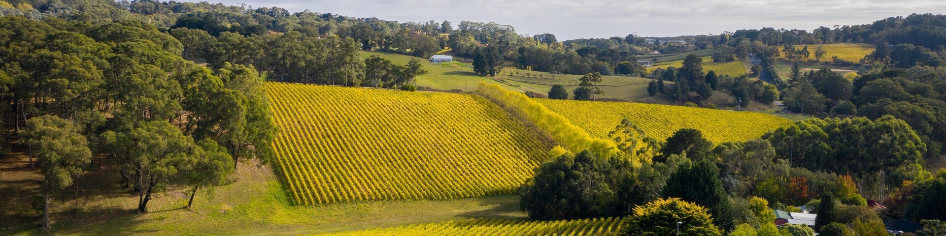 Summertown showing landscape views and farmland