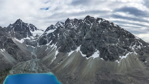 Lyngen