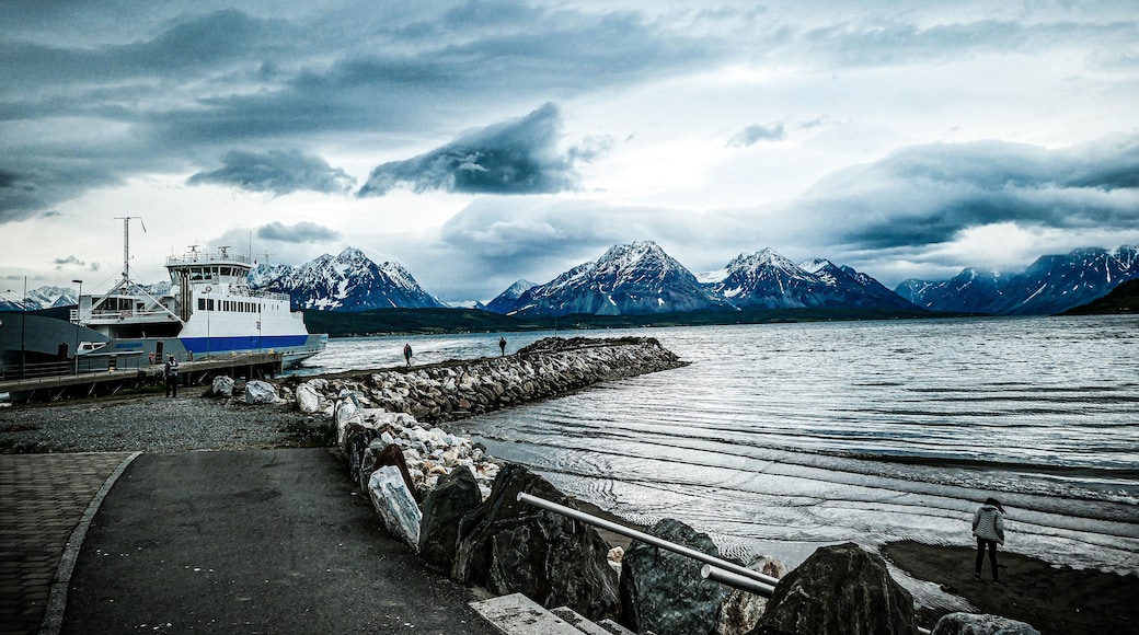 #Norway #Fjord #mountain #outdoor #Trovember
As a country famous for its fjords Norway has over 1000 fjords, most of it sits on the southern part of the country. The word fjords itself refers to an ancient #viking terms related to the phrase "where you travel across" and the word "ferry". The ancient vikings used these fjords to learn how to navigate the water, and to conduct raids to their neighboring tribe and land. The land of the ancient vikings is a barren and cold one where it's hard for plants to grow and animals to live and the only precious commodity you can get from the land are timber woods and iron. So to surcice, the ancient vikings have to conduct these daring raids to faraway land to procure resource to survive their harsh home. It is savagery out of neccesity not out of choice.
The weather condition around these fjords can change rapidly which itself is fascinating to see. But because of it you better pack well to prepare for any weather condition if you're planning to do a fjord cruise tour. A raincoat can especially be a lifesaver at times :)