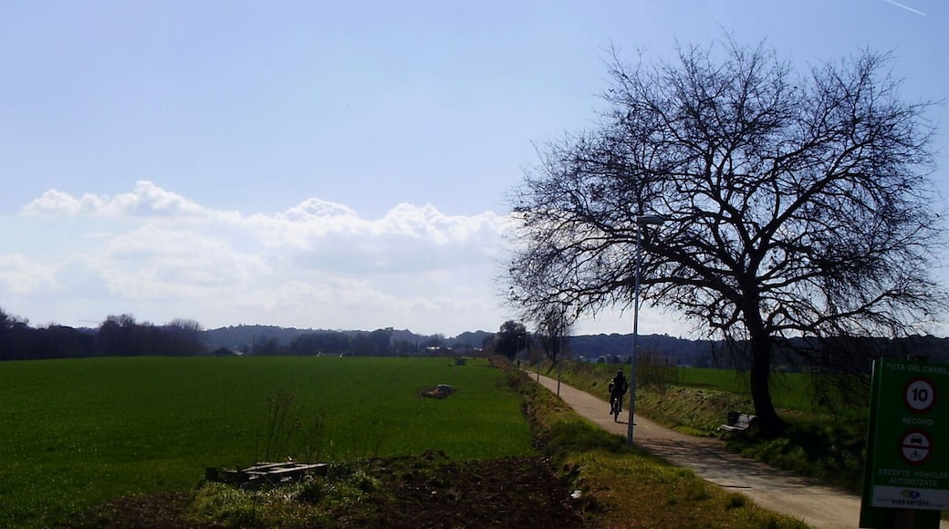 Panoràmica Carril bici Girona a St Feliu de Guíxols. Zona Quart.