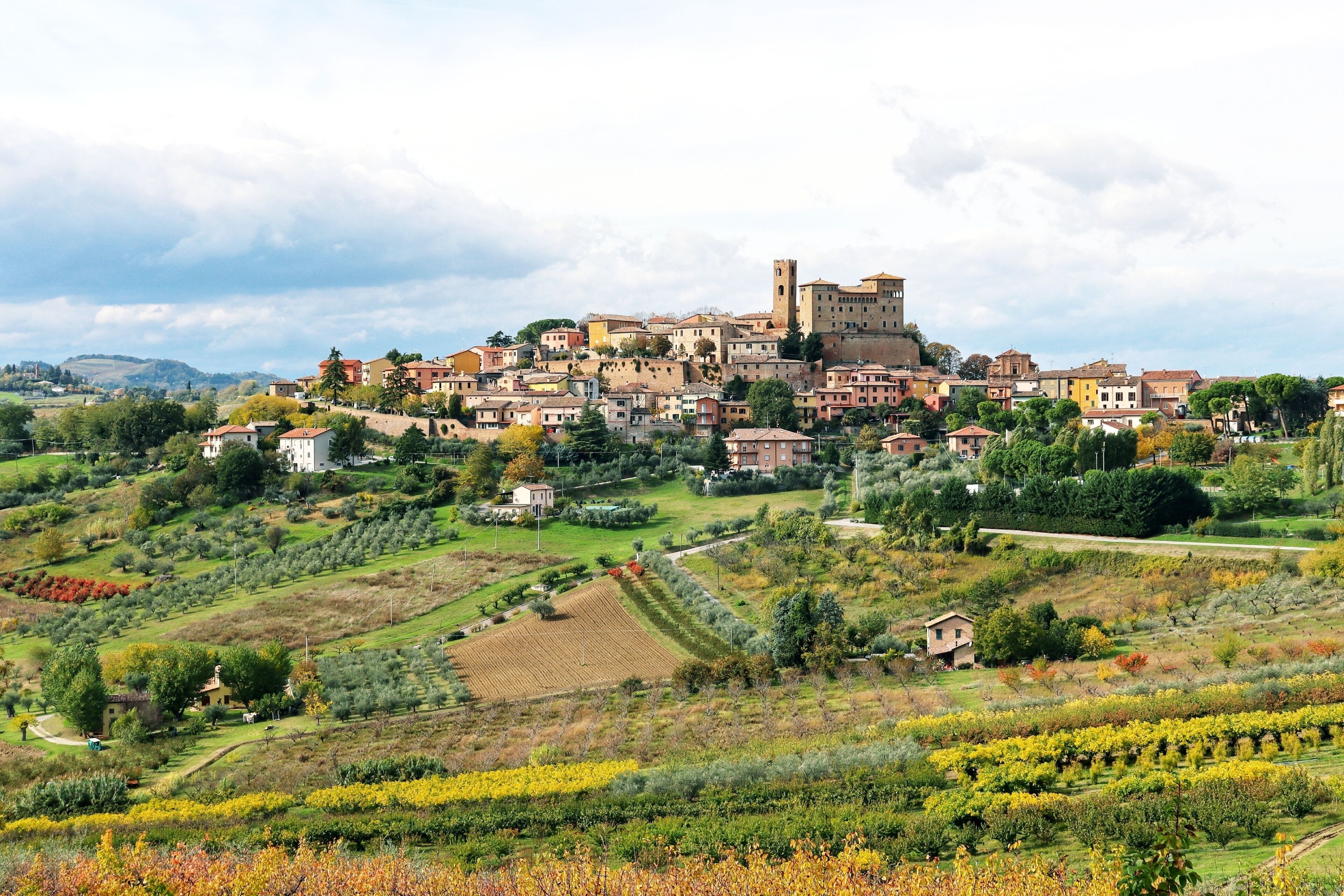 A historic town with a prominent castle on a hill, surrounded by terraced vineyards and lush greenery.