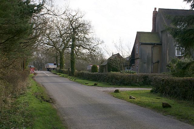A narrow rural road flanked by trees and hedges, leading to a building with a sloped roof.