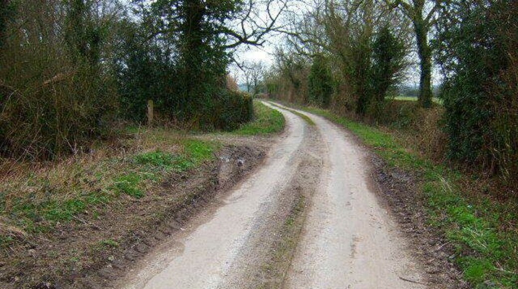 Stydd Lane Looking back to the A515, up the no through road.
