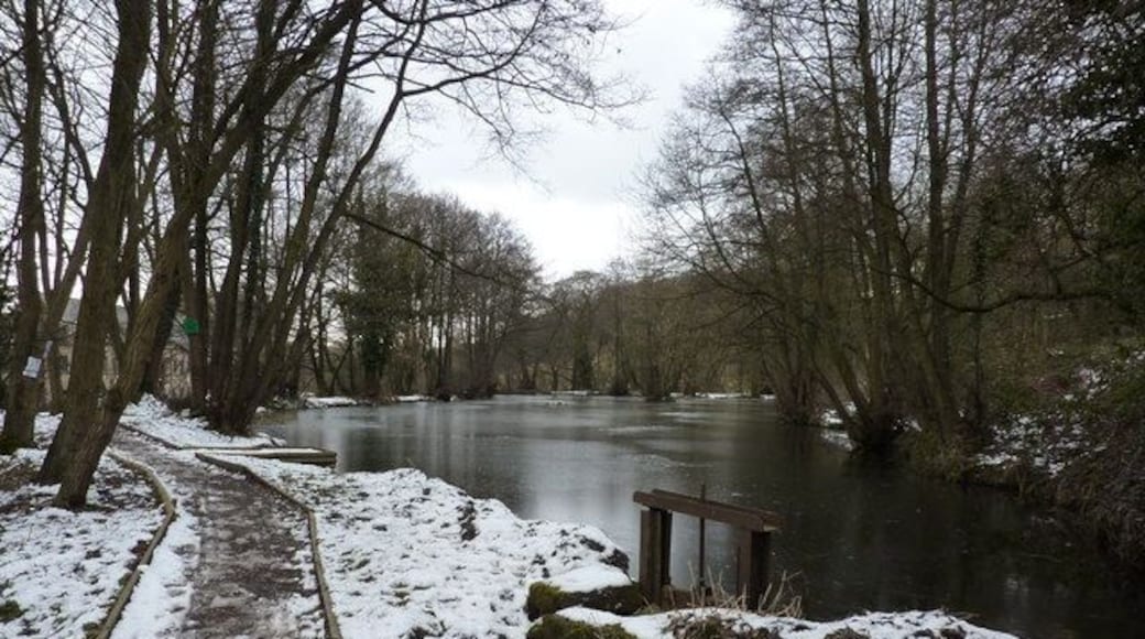 Frozen mill pond One of several mill ponds which once powered mills in the Tansley, Lumsdale areas east of Matlock
