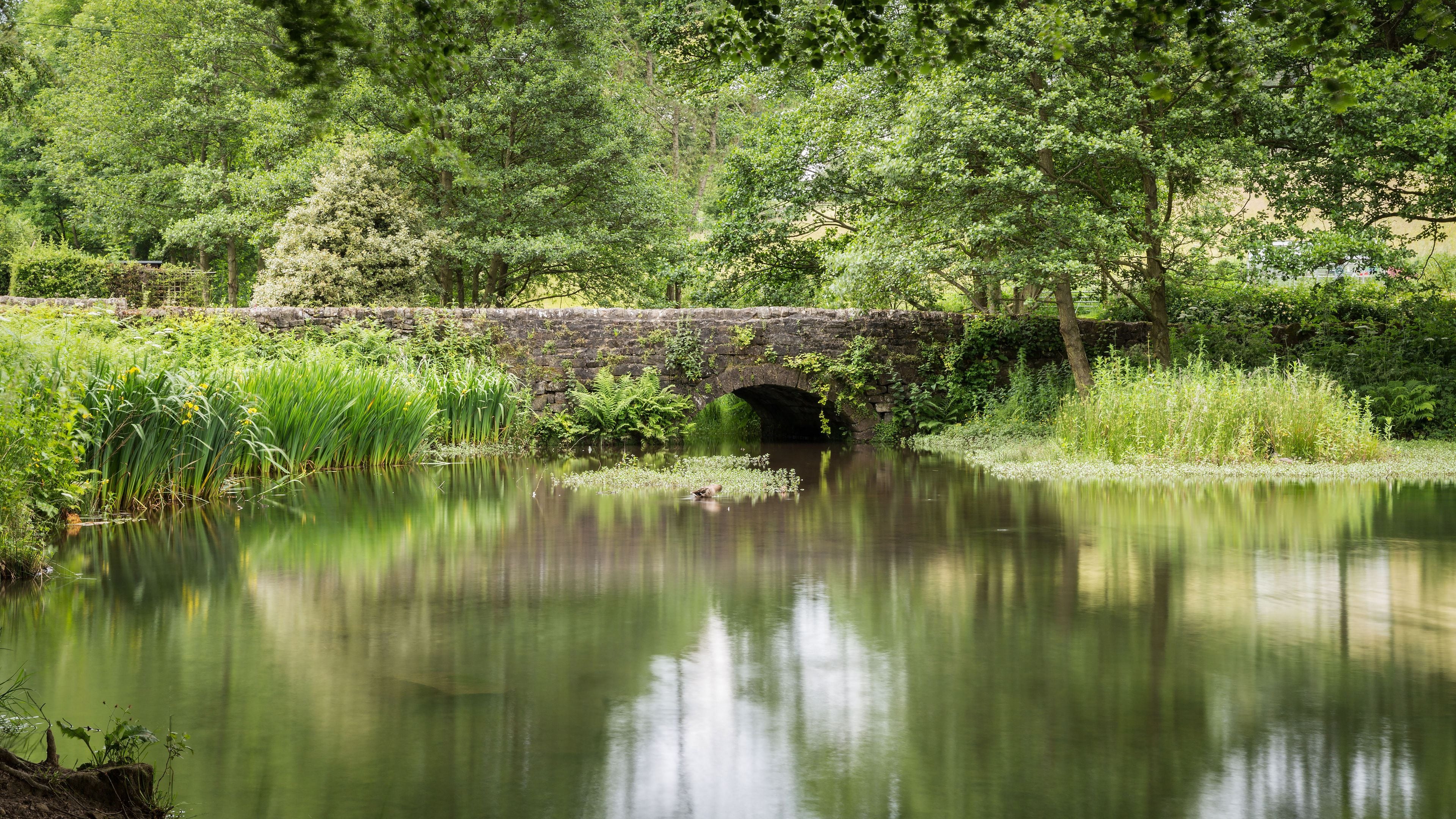 A tranquil river with a stone bridge, lush greenery, and a clear reflection.