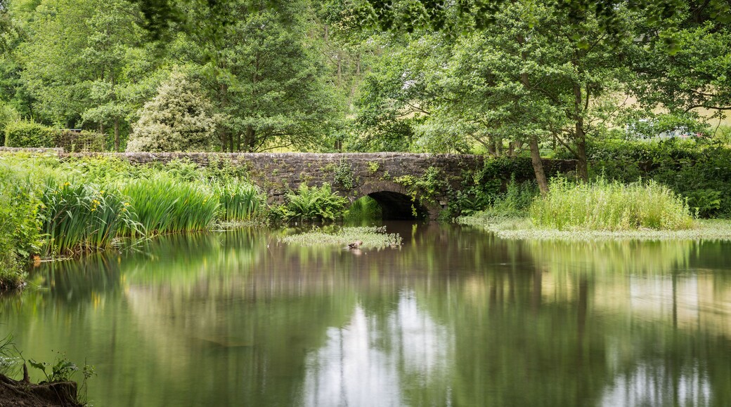 A tranquil river with a stone bridge, lush greenery, and a clear reflection.