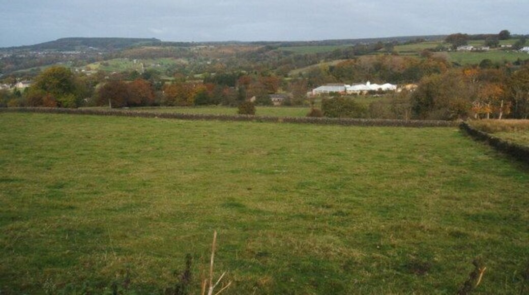 Grazing land and Matlock Garden Centre