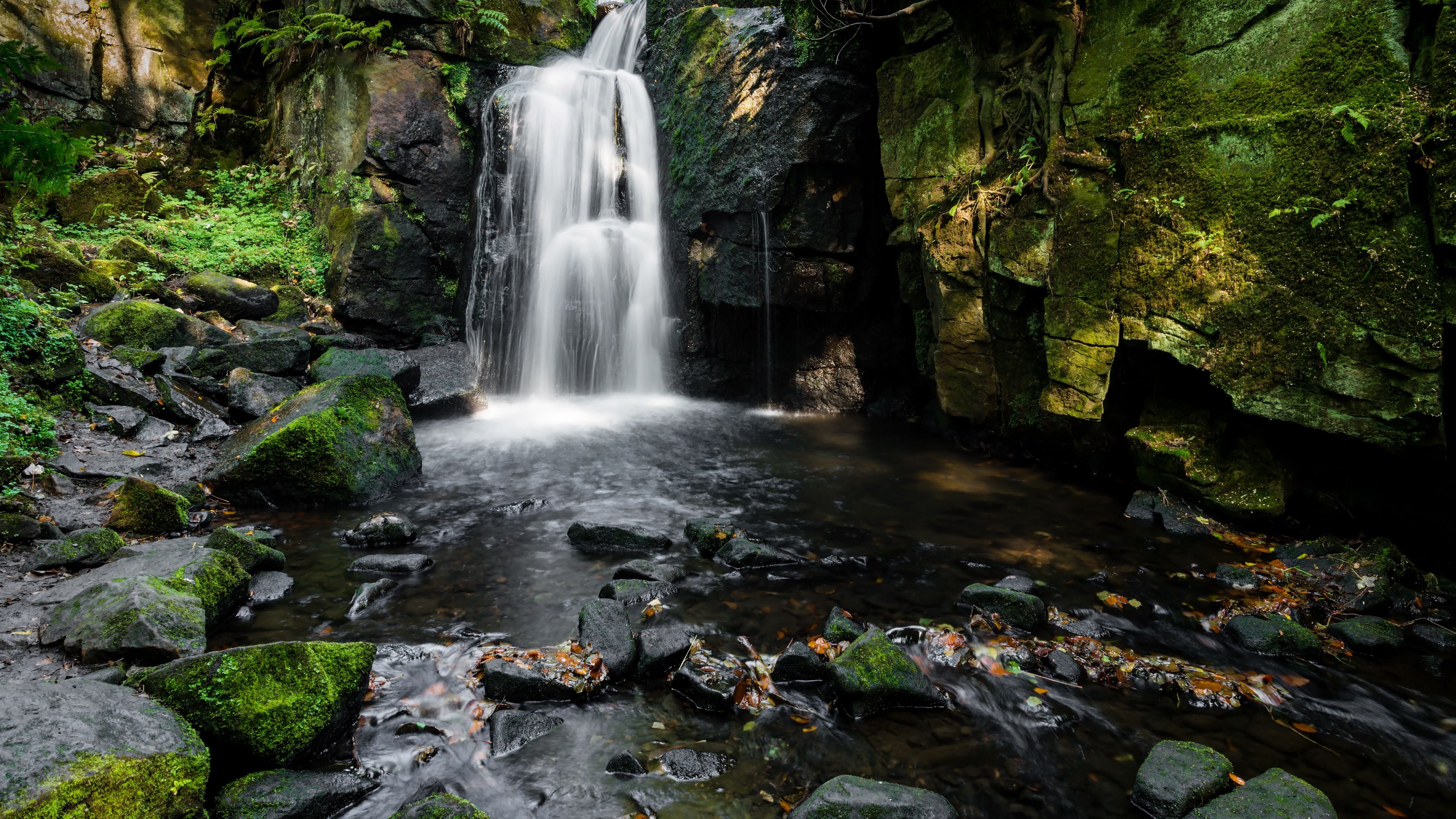 A waterfall cascading over moss-covered rocks into a shallow stream surrounded by ferns and autumn leaves.