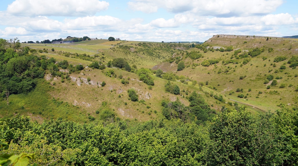 Rolling hills with dense greenery, a distant fortification, and a clear sky.