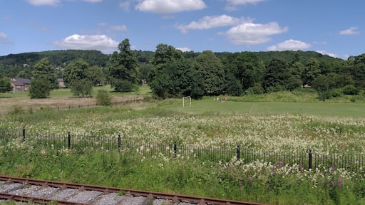 A football pitch near Darley Dale railway station.