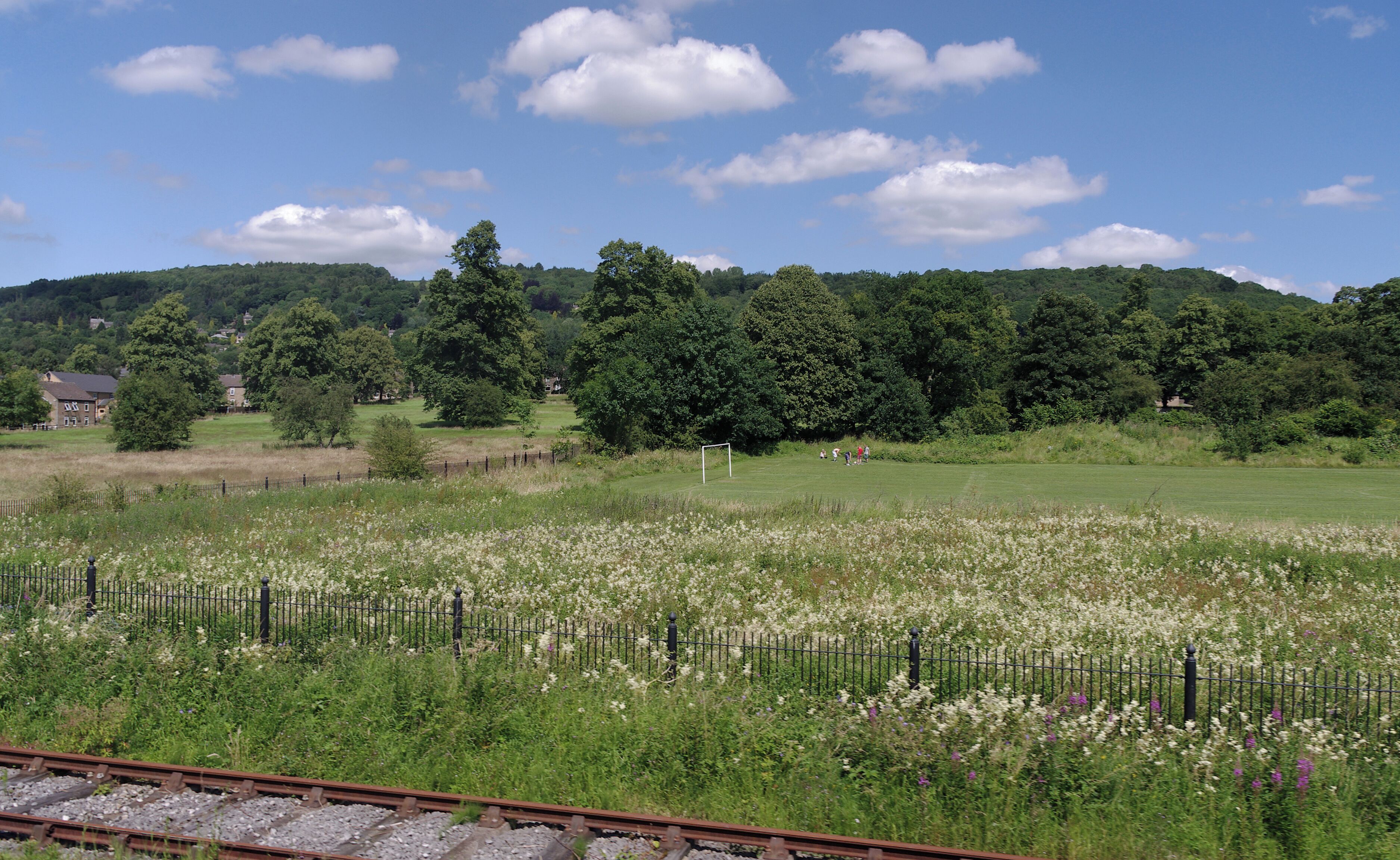 A rural landscape with a field of flowers, a fence, and houses in the background.