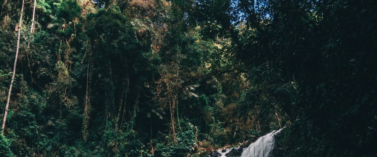 This is a very well preserved trail with 14 (!) very cool waterfalls. #BVStrove