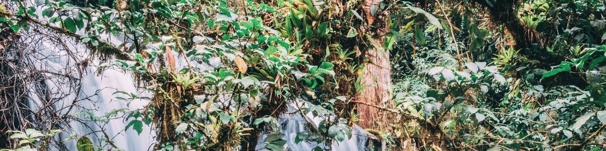 Another one of the 14 (!) waterfalls in this very well preserved trail #BVStrove