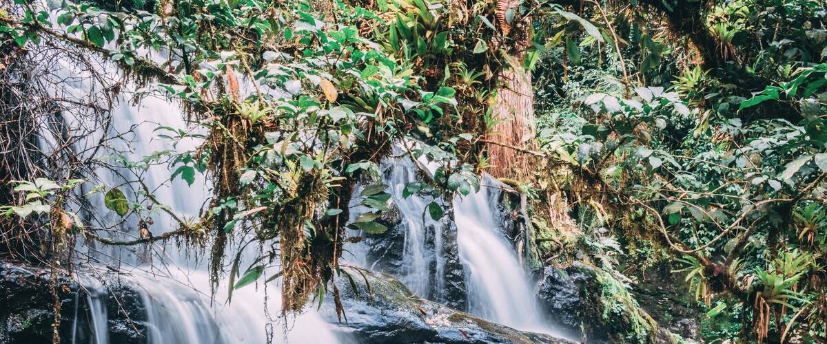 Another one of the 14 (!) waterfalls in this very well preserved trail #BVStrove