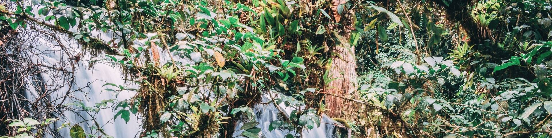 Another one of the 14 (!) waterfalls in this very well preserved trail #BVStrove