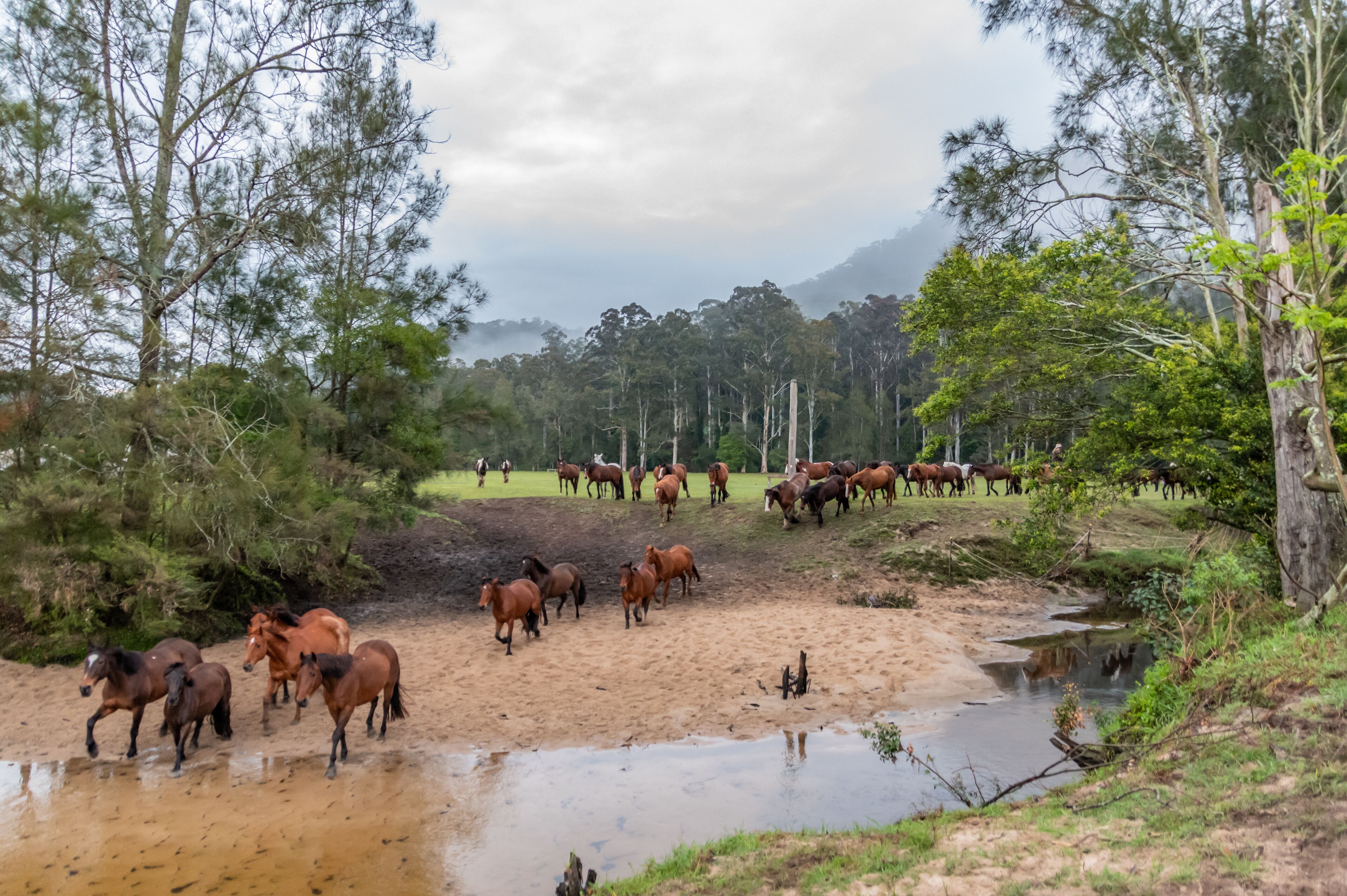 グレンワース バレー