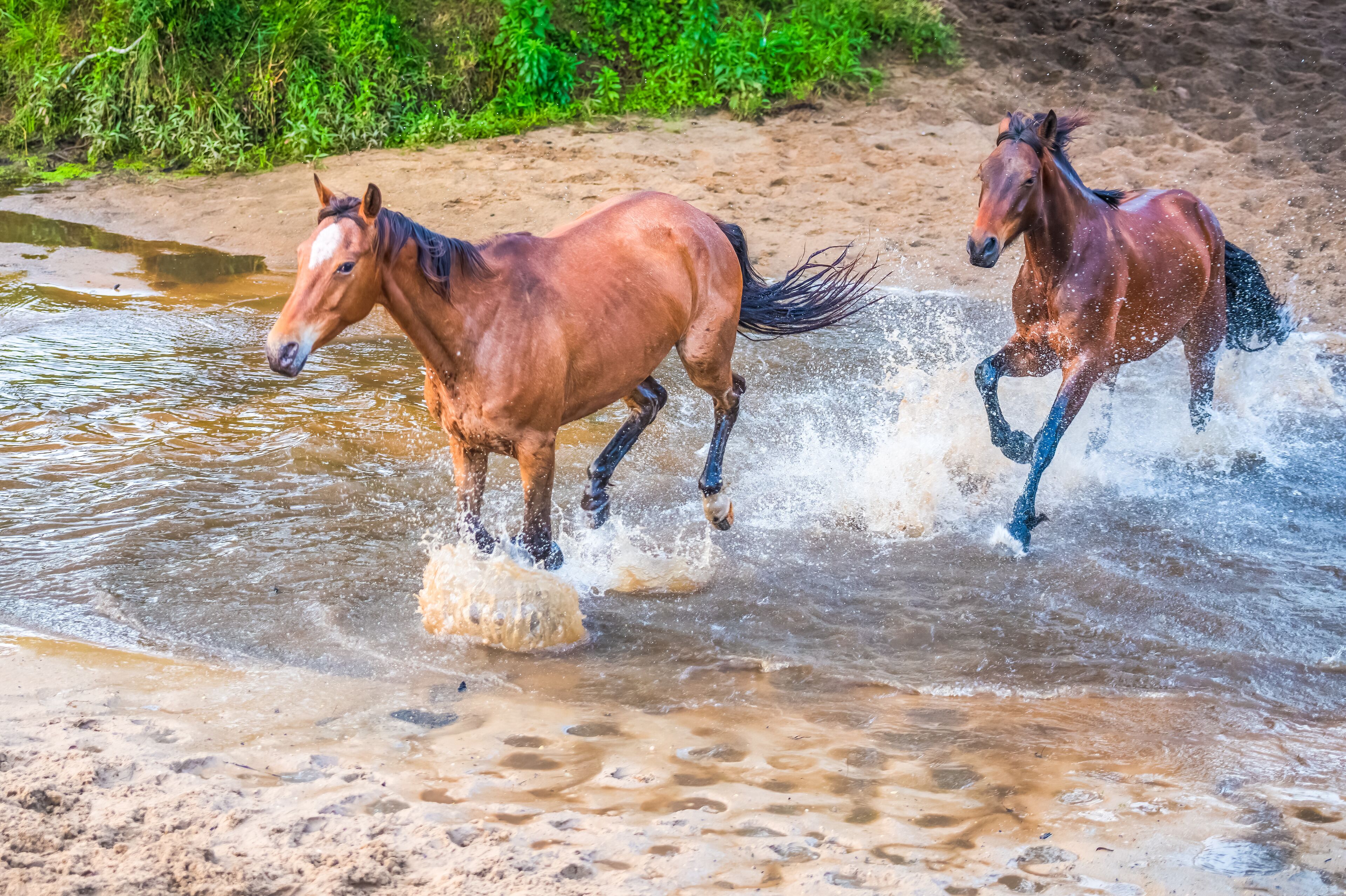 グレンワース バレー