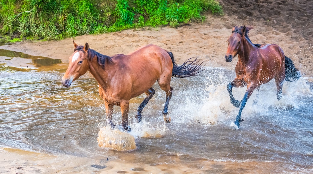グレンワース バレー