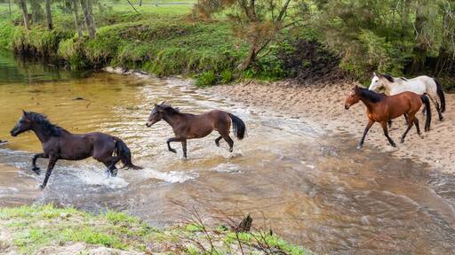 グレンワース バレー