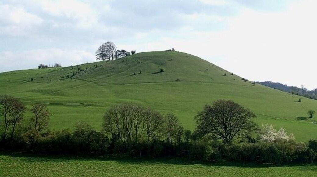Cymbeline's Castle from Ellesborough Church Tower. On a beautiful Bank Holiday Monday (for a change !), we climbed to the top of the fine tower of 282314 which affords excellent views in all directions.To the southwest the scene is dominated by this notable tump. It is an ancient Motte & Bailey system known as Cymbeline's Castle (or Mount). Any connection with the ancient British king - whom Shakespeare wrote a play about - is I think speculative at best. However it has been suggested that the nearby Kimbles (Little & Great) are named after him, so it does at least have some plausible link back to pre-Roman times. Although Shakespeare used the name Cymbeline (for his entirely fictional tale), this 1st Century king who ruled a large area of Southern England before the Roman invasion, is more generally known historically as Cunobelinus, though he is known also by various other names such as Cynfelyn and Kymbelinus. This little mount on which his putative castle stood sits below the higher eminence of Beacon Hill, but manages not to be overshadowed by it, retaining a certain quality - perhaps due to its ancient history.