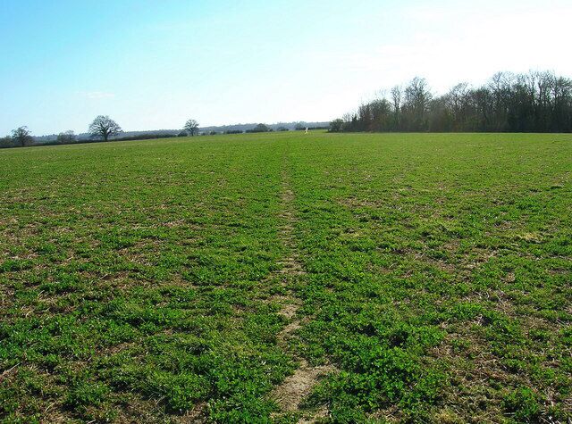 Footpath to Castle Toll Linking the site to the bridleway on the north bank of the River Rother it is the only footpath in or out. The trees on the right hide an old pond.