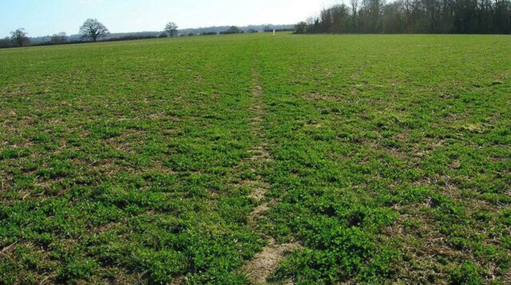 Footpath to Castle Toll Linking the site to the bridleway on the north bank of the River Rother it is the only footpath in or out. The trees on the right hide an old pond.