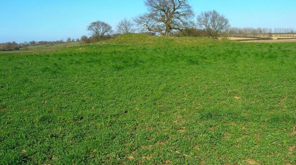 Castle Toll Remains of motte and bailey are in evidence as well as larger earthworks believed to have been made in pre-Roman times. Its position on raised ground between the Rother and Hexden Channel afforded a good look out point down the then tidal river. The site is believed to be the one Alfred the Great fortified in 892 when the Vikings invaded and occupied the Isle of Oxney. The fort may well have been used into medieval times when it was still possible for the French to sail up the river to Robertsbridge and burn it down. If you look very hard and very close you may spot a fox on the earthworks observing my activities.