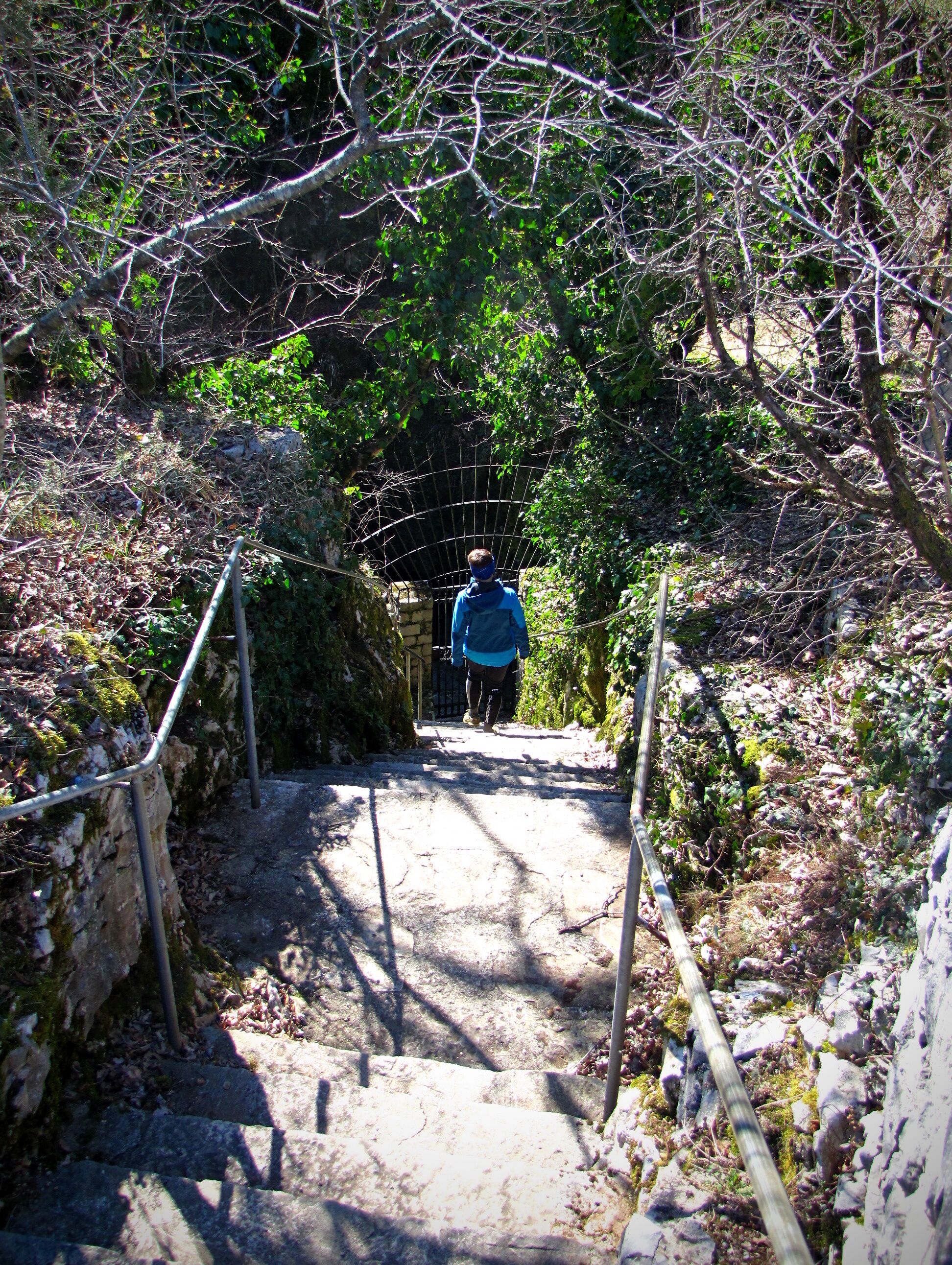 A person walking up a stone staircase surrounded by trees and greenery.