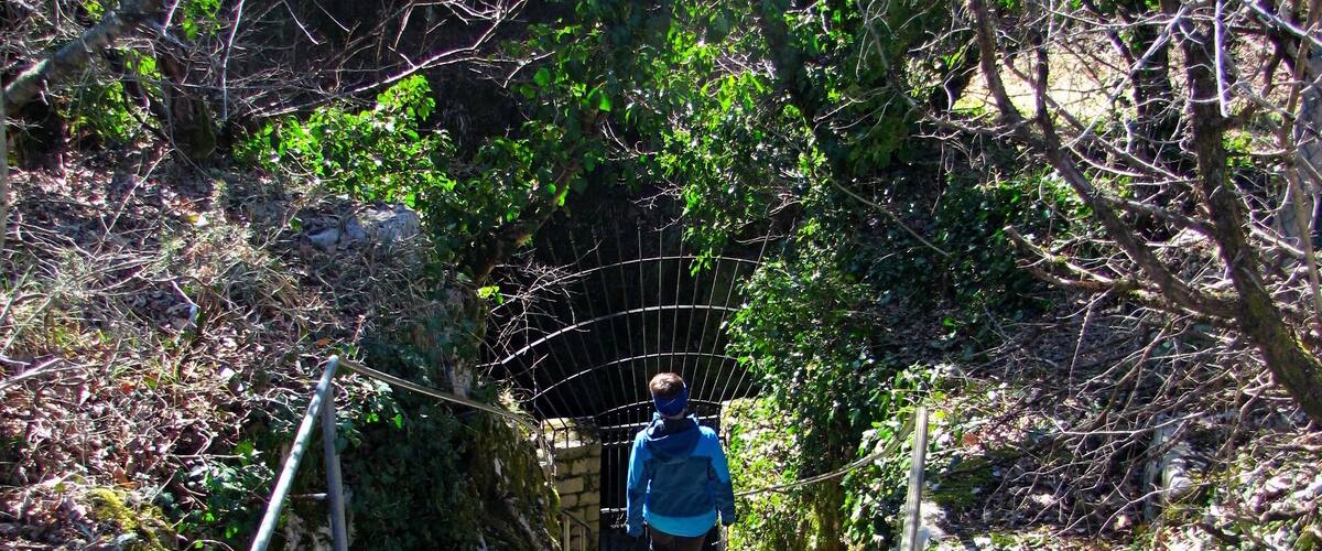 A person walking up a stone staircase surrounded by trees and greenery.