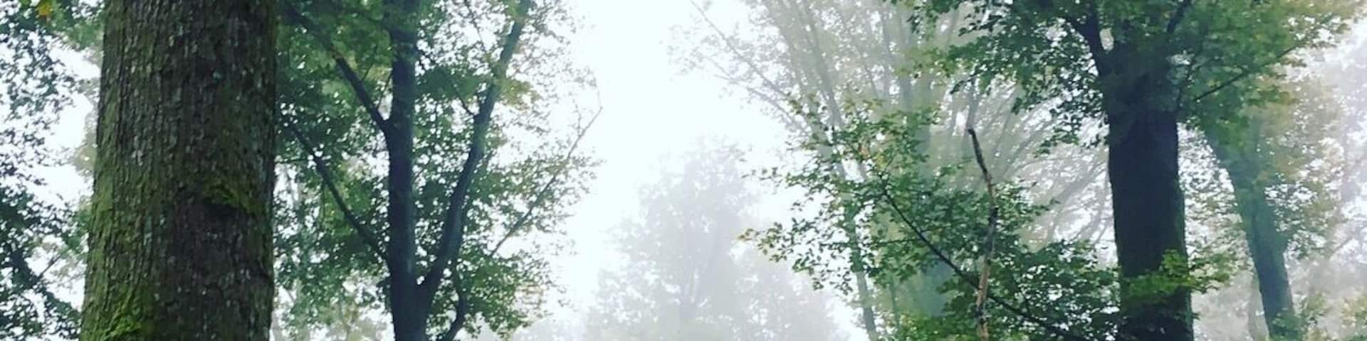 Northem Vosges National Régional Park