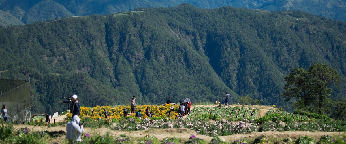 A mountainous landscape with a field of flowers and people.