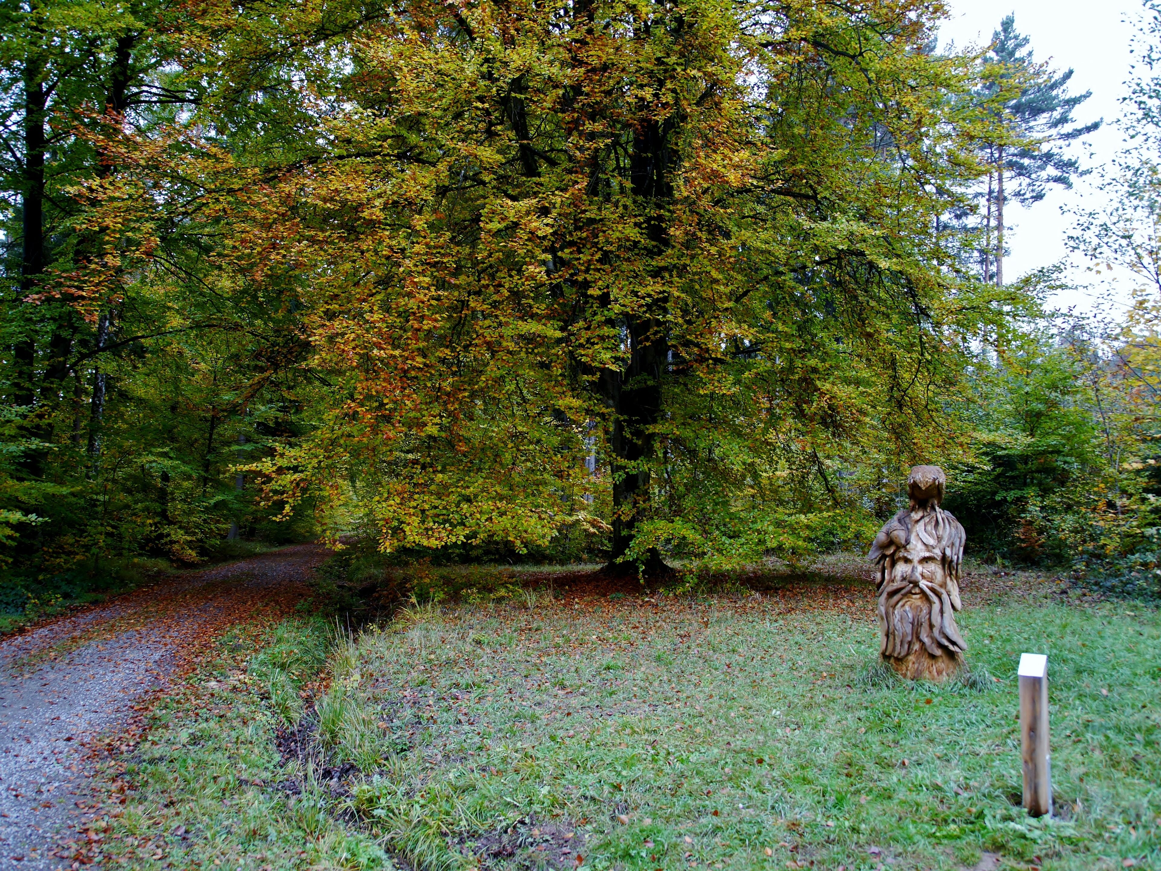 A statue in a park with autumn foliage.