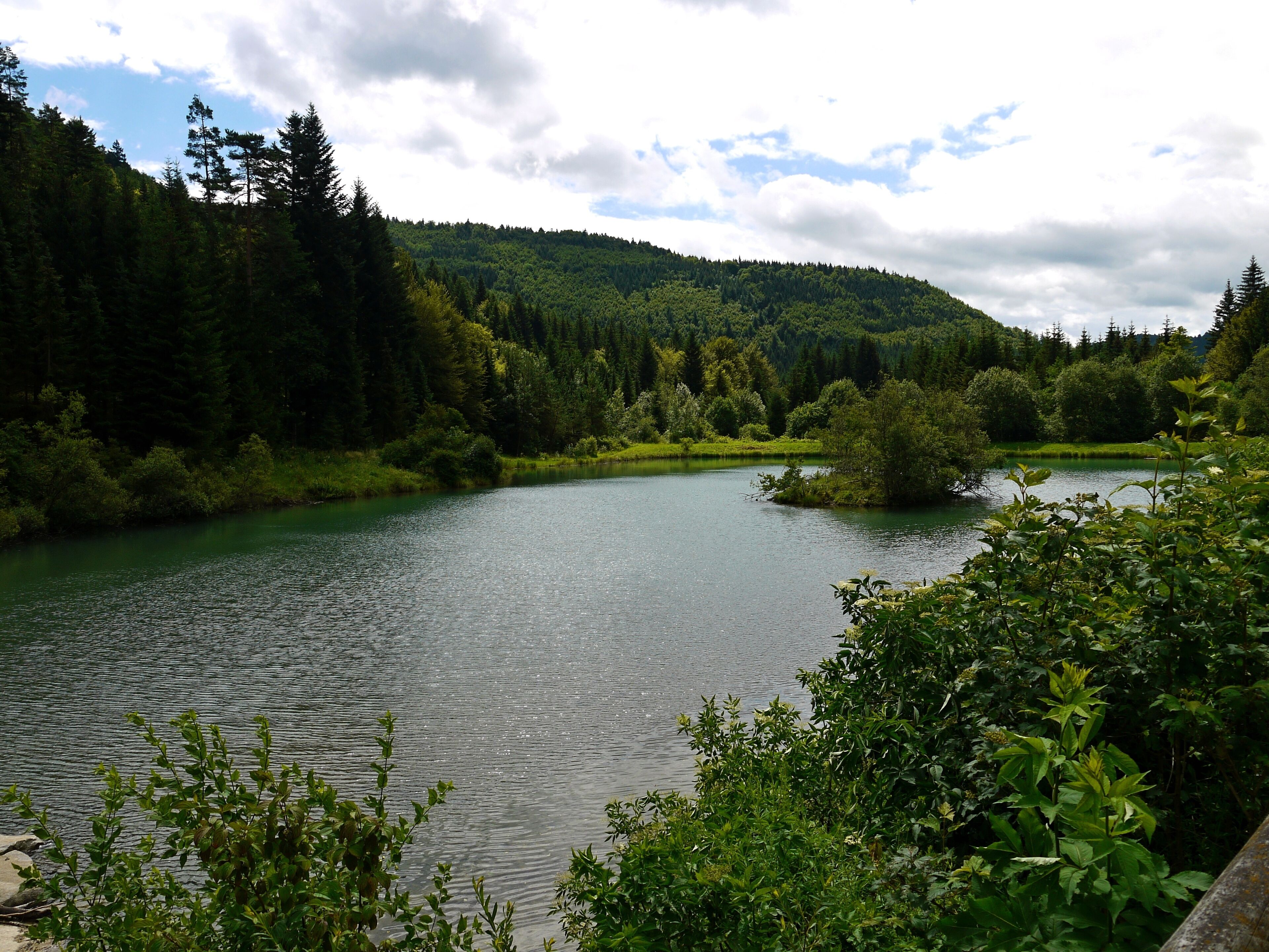 Harrassee