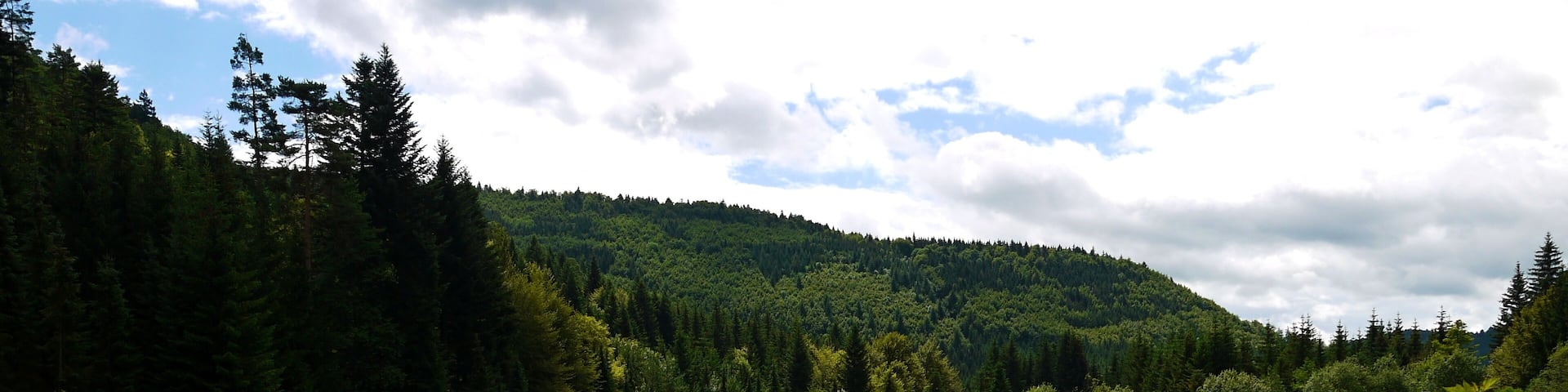 A calm river surrounded by dense forest and hills.