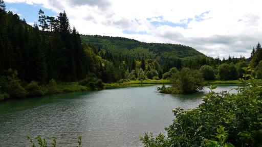 Harrassee