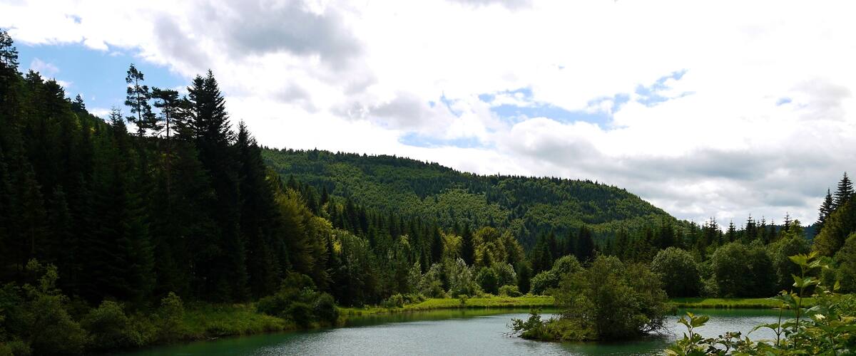 A calm river surrounded by dense forest and hills.