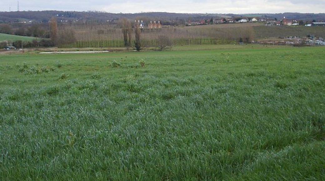 Boughton-under-Blean