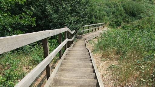 Looking down the steps from the Motte at Mount Bures