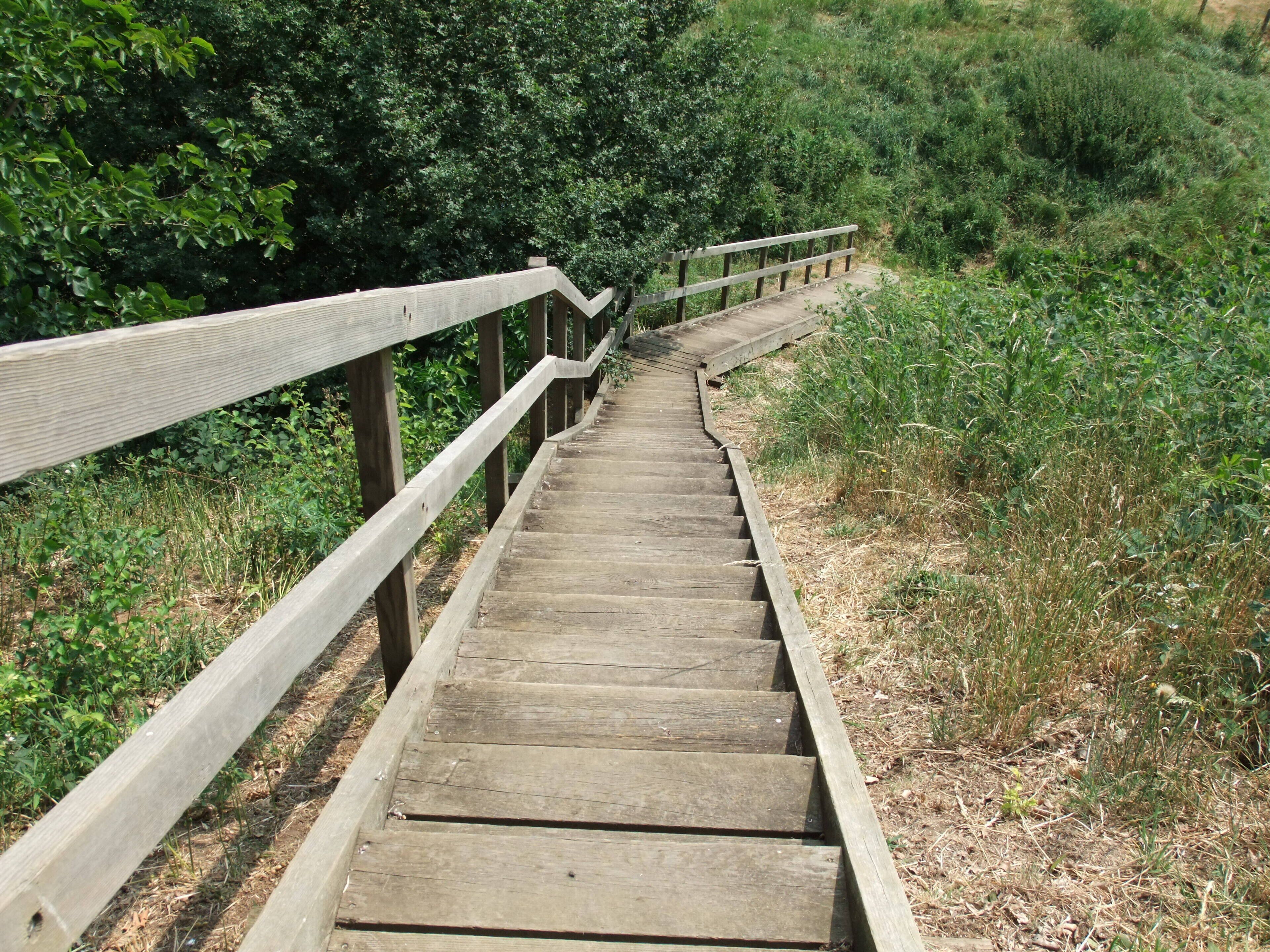 A wooden staircase with a handrail leading up a grassy hill.