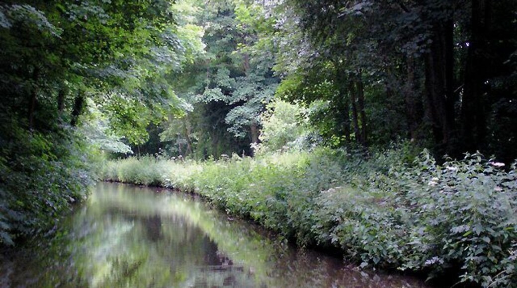 Trent and Mersey Canal near Armitage, Staffordshire. Flanked and heavily shaded by tall mature deciduous trees, the canal makes its way between the grounds of the Church of St John the Baptist on the left, and the railway on the right.