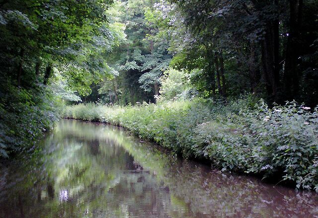A calm river surrounded by dense greenery and trees.