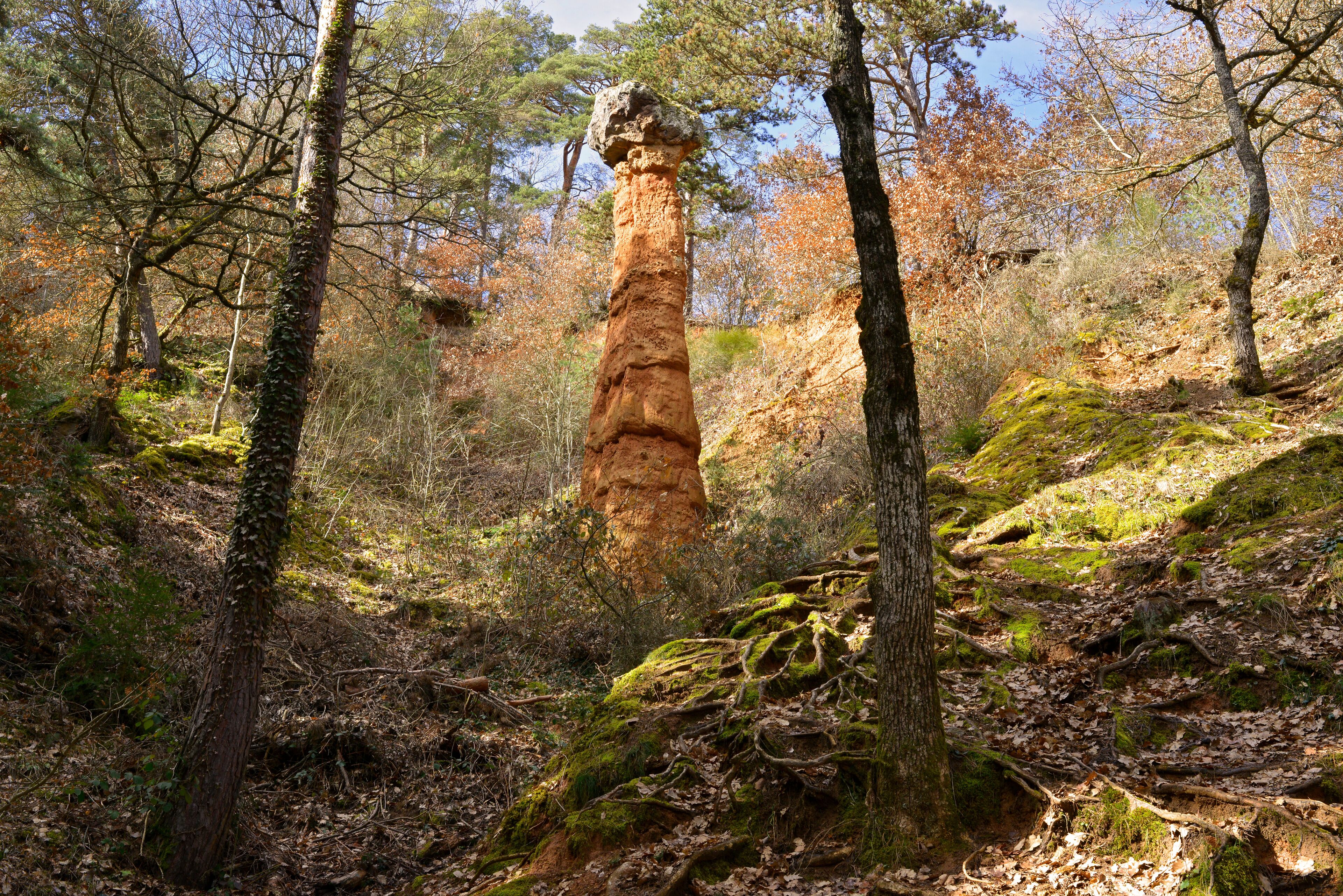 La cheminée des fées dans la forêt à Cotteuges (63320 Saint-Diery), département du Puy-de-Dôme en région Auvergne-Rhône-Alpes, France	