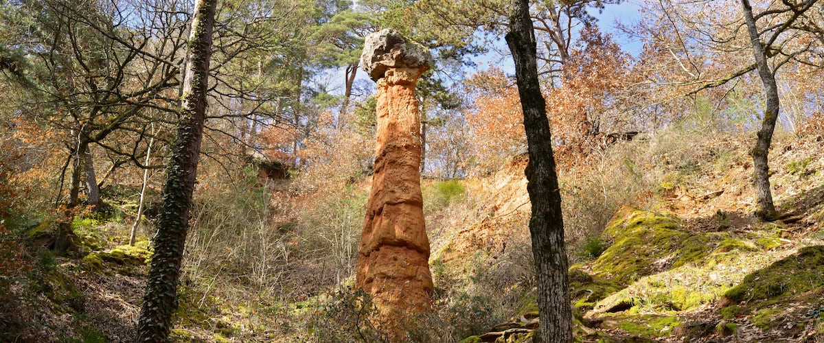 A forest with a prominent tree with a large rock balanced on top, surrounded by other trees and a rocky hillside.